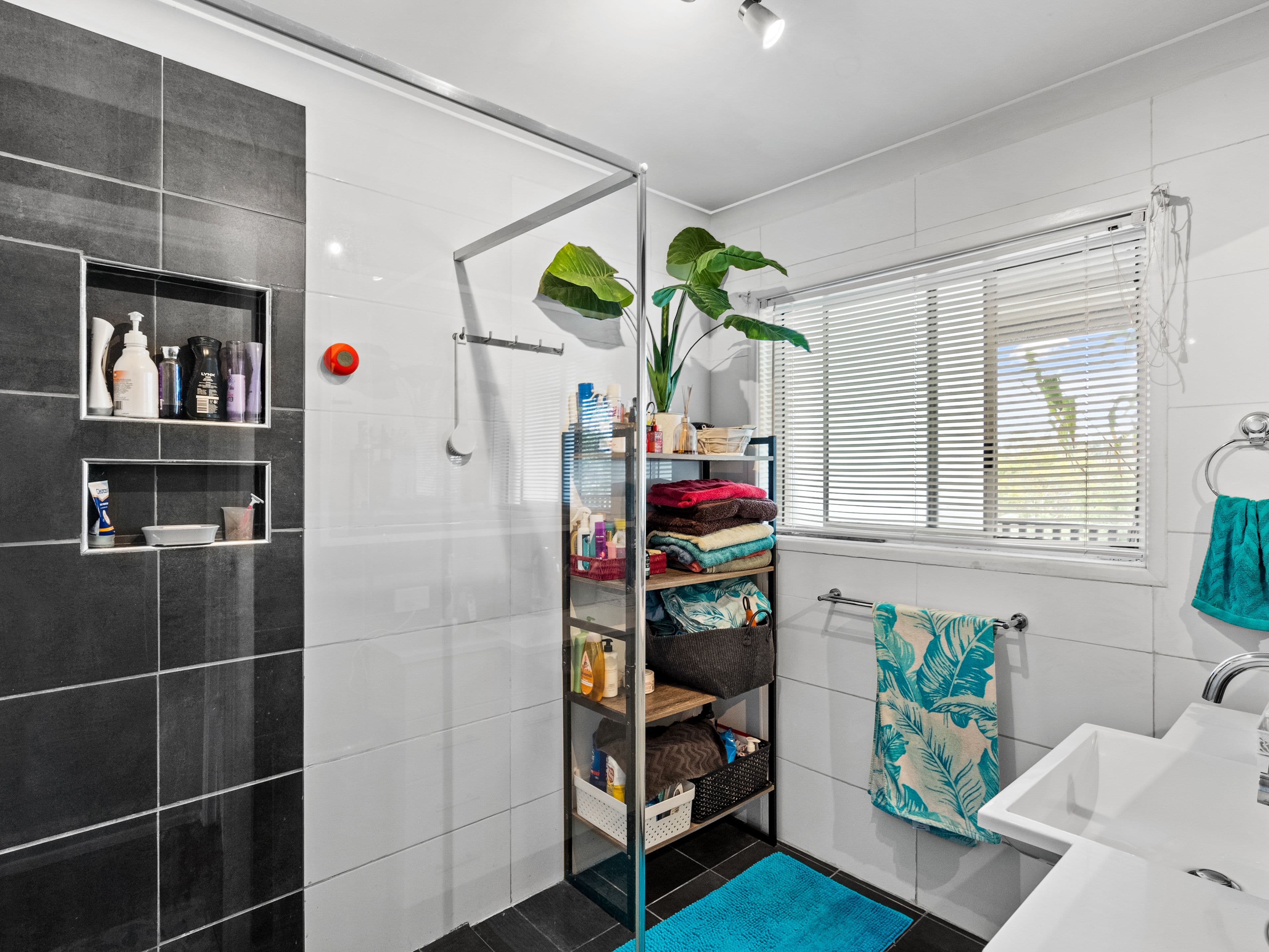 17 Goorong Street, Sunnybank Hills QLD 4109, Sunnybank Hills - Thumbnail 4