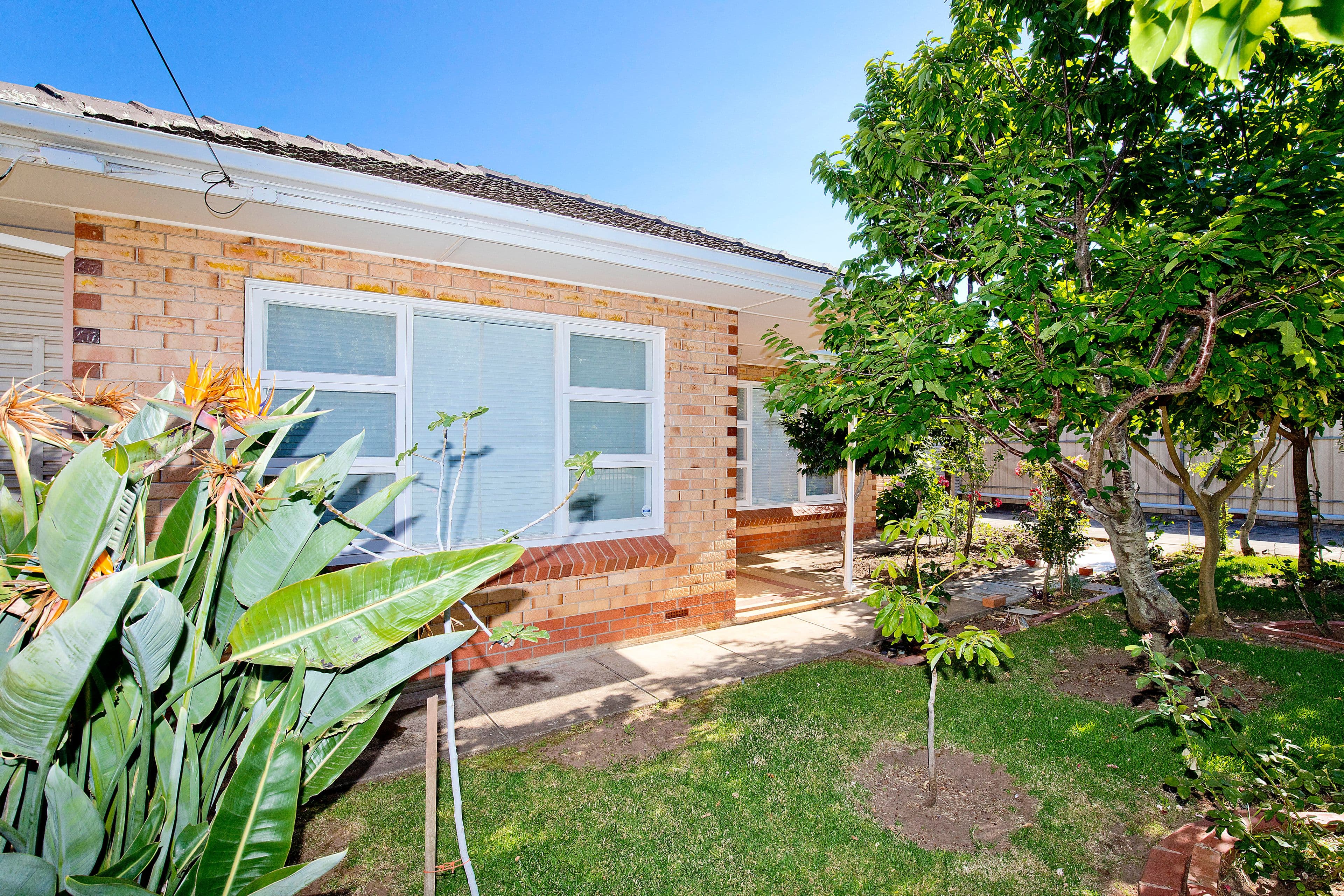 23 Alton Avenue, Magill SA 5072, Magill - Image 1