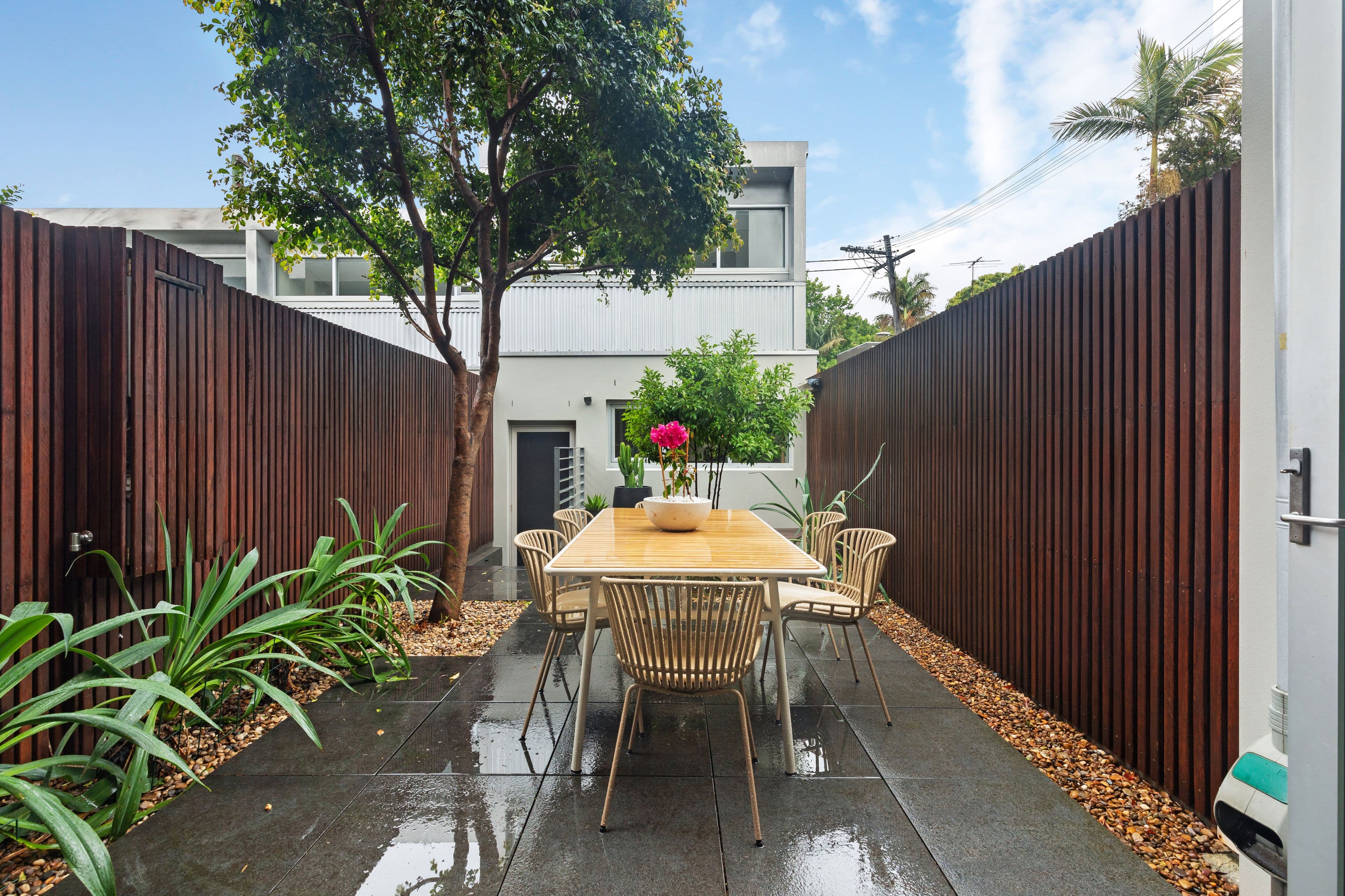 264 Henderson Road, Alexandria NSW 2015, Alexandria - Thumbnail 3