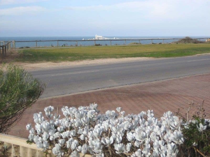 27 Tiddy Widdy Road, ARDROSSAN SA 5571, Ardrossan - Thumbnail 3