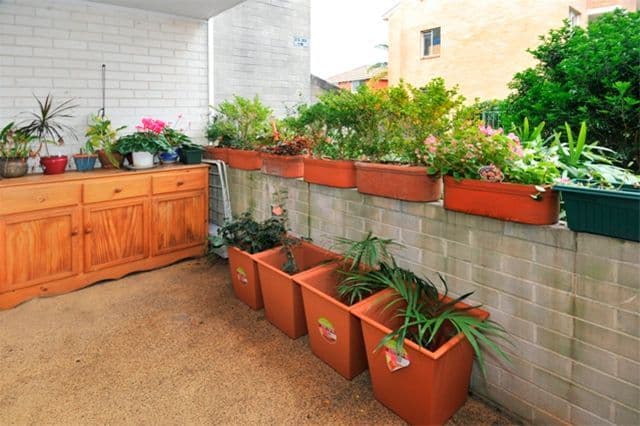 236 Rainbow Street, COOGEE NSW 2034, South Coogee - Thumbnail 5
