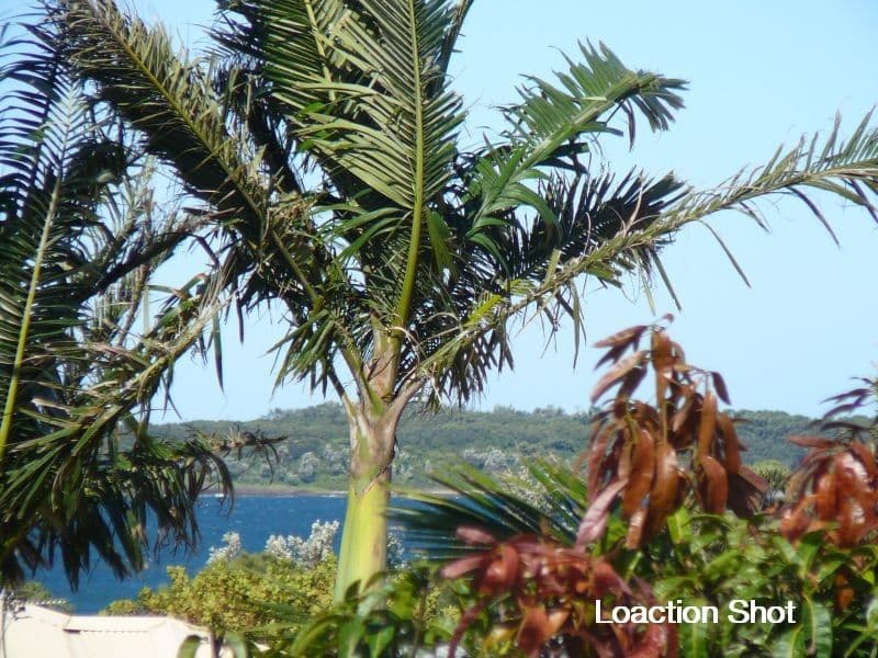 1a Adelaide Place, SHELLHARBOUR NSW 2529, Shellharbour - Thumbnail 6