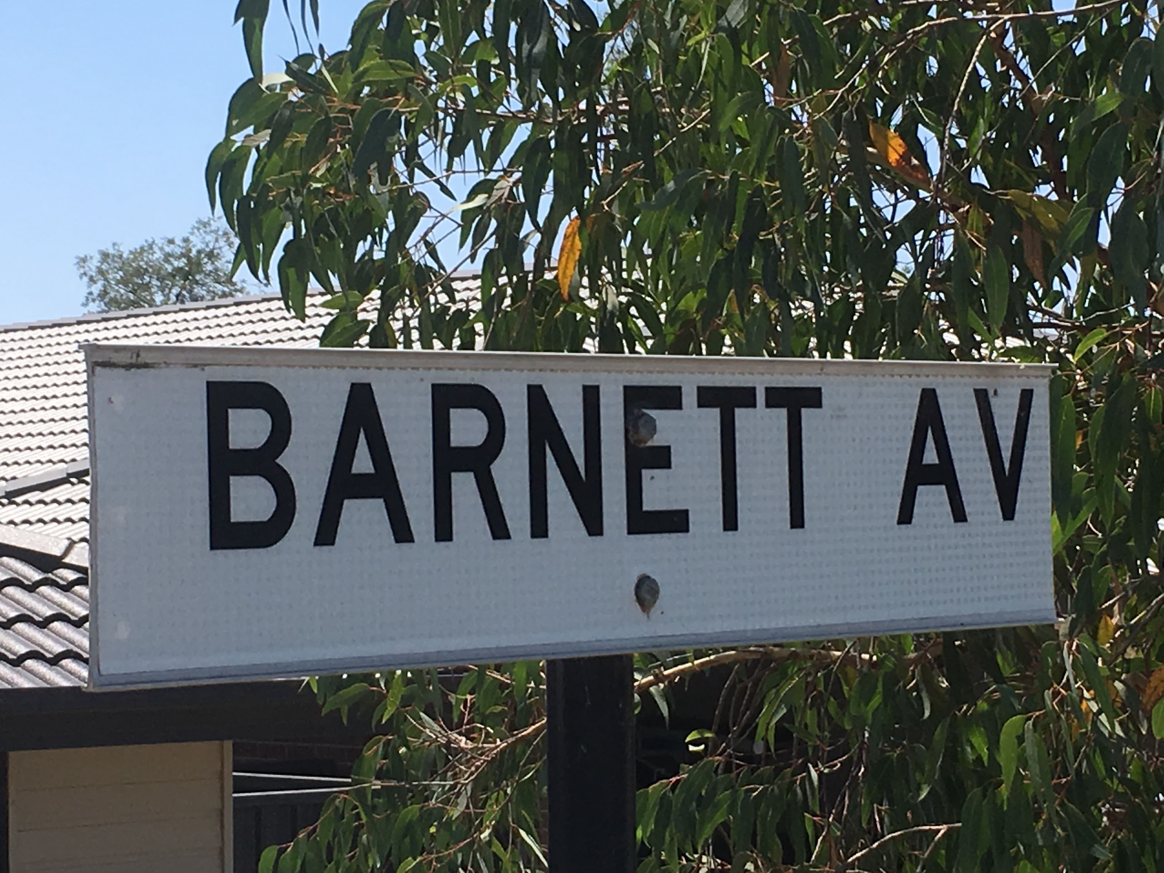 41 Barnett Avenue, Thurgoona NSW 2640, Thurgoona - Thumbnail 2