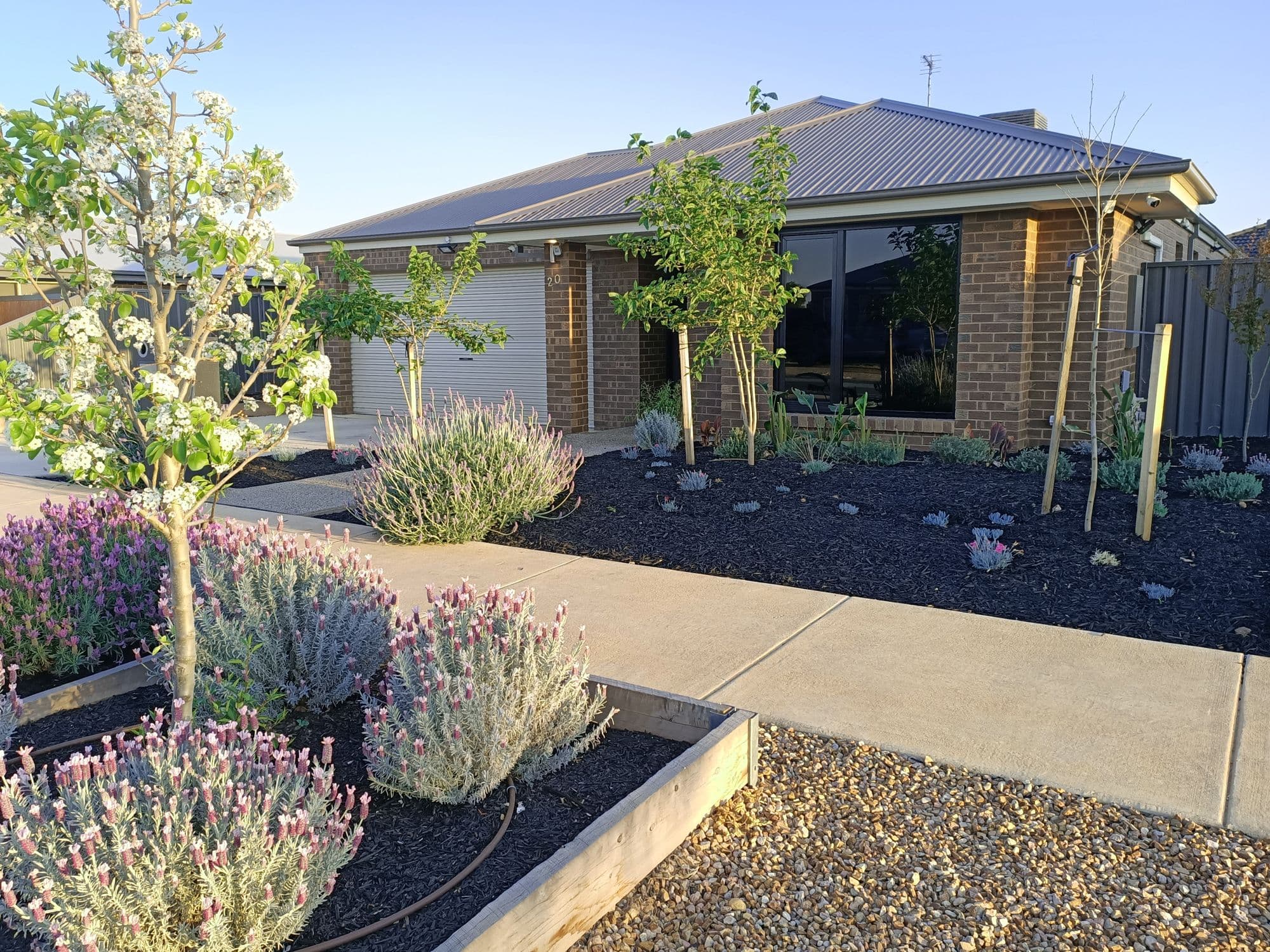 20 Cosmo Drive, Cobram VIC 3644, Cobram - Image 1
