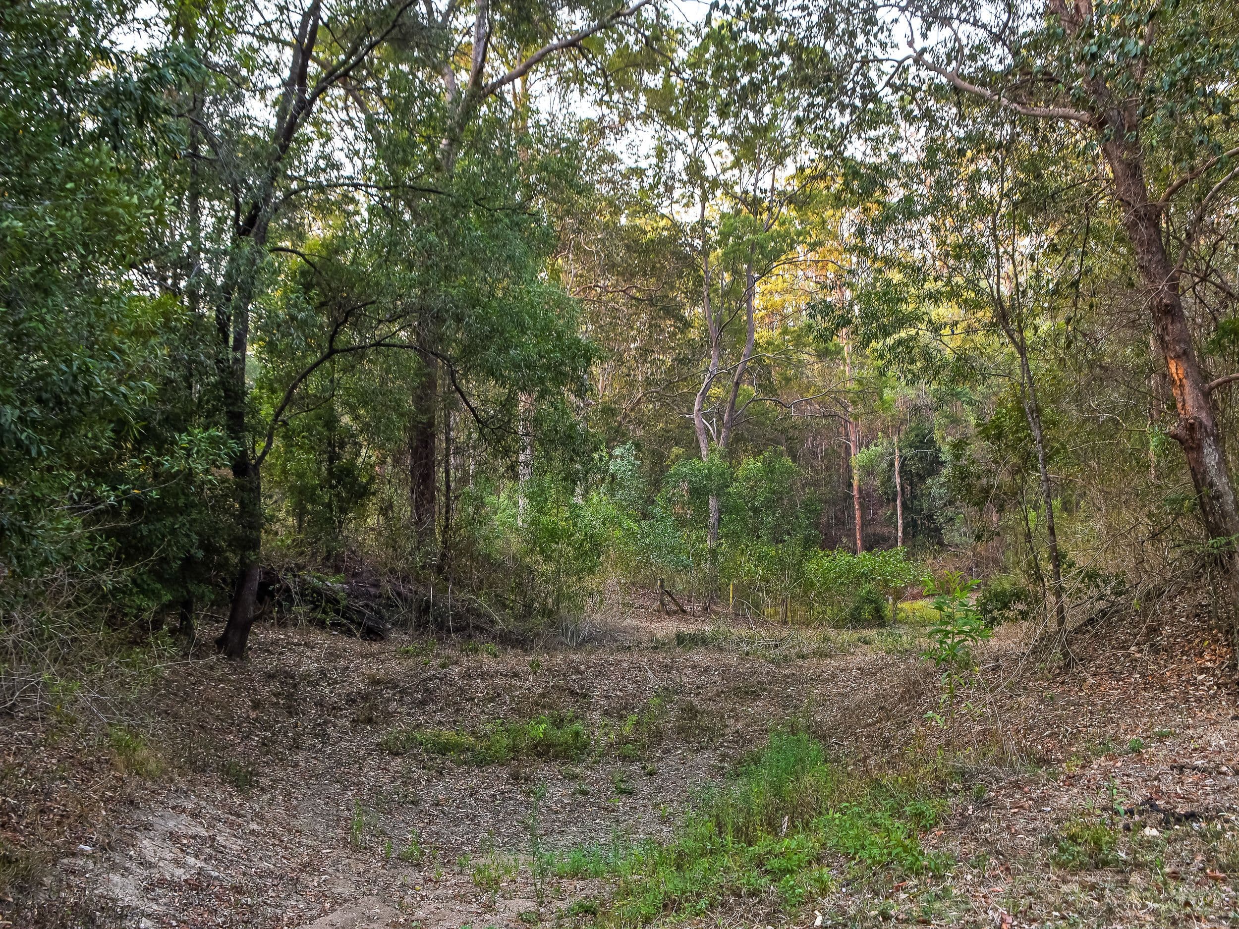 14 Charles Road, Mount Pleasant QLD 4521, Mount Pleasant - Thumbnail 5