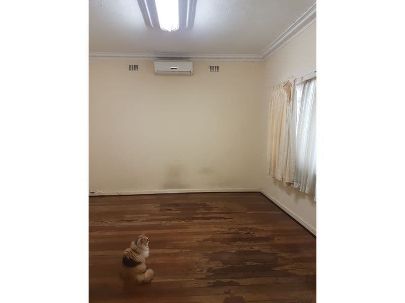 36A Third Avenue, Mount Lawley WA 6050, Mount Lawley - Thumbnail 2