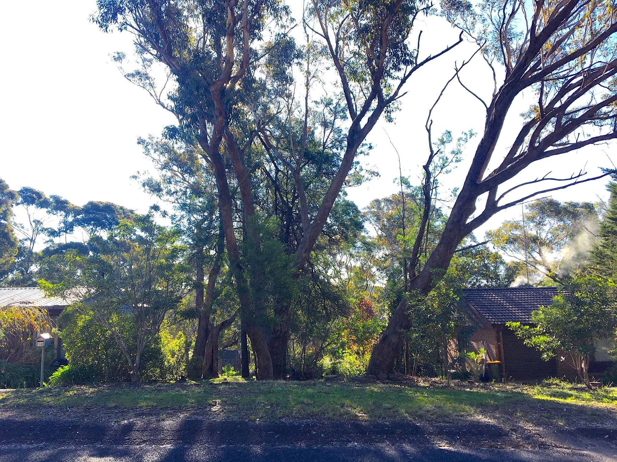 52 Godson Avenue, Blackheath NSW 2785, Blackheath - Thumbnail 3