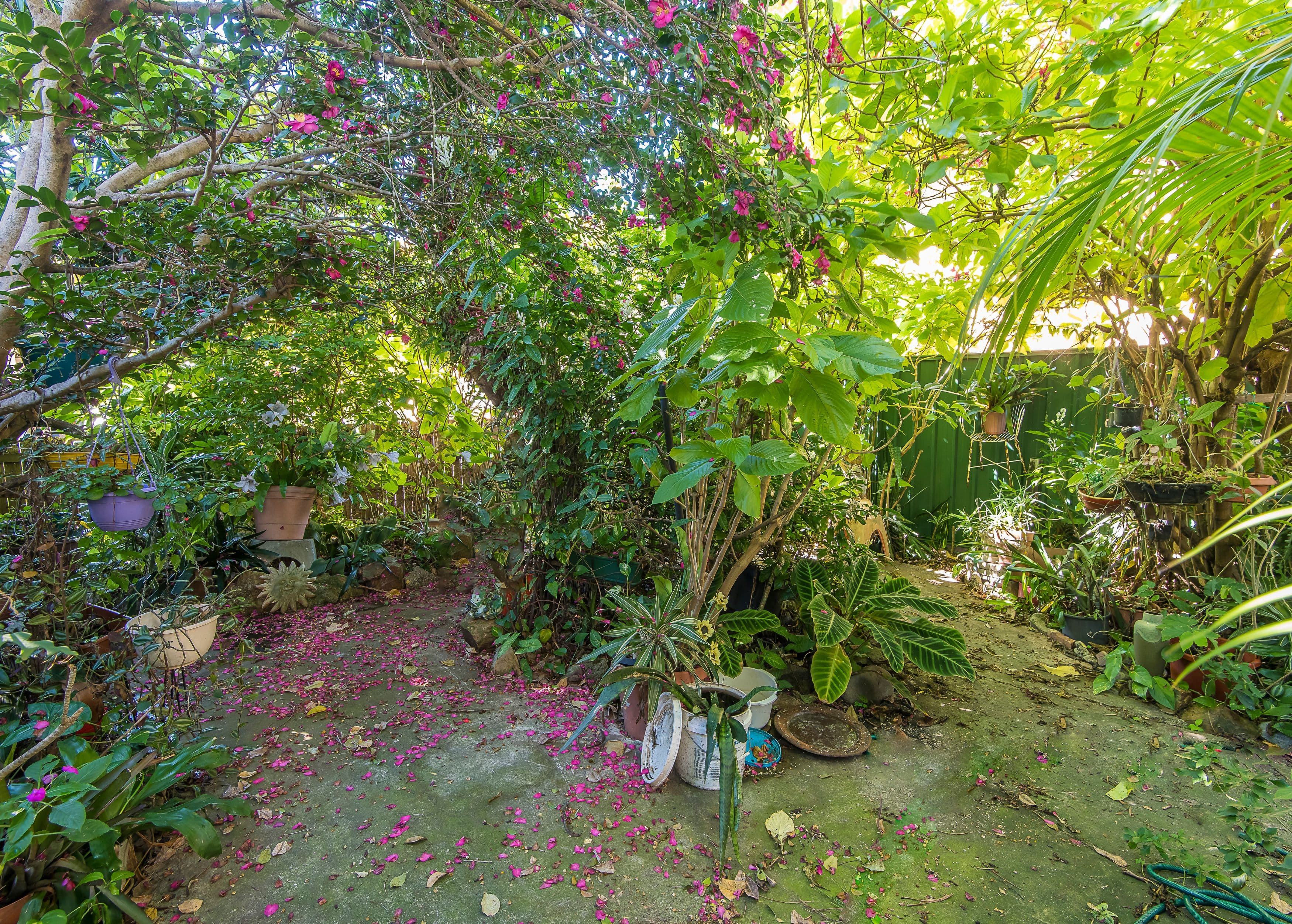 143 KENNIGO Street, Spring Hill QLD 4000, Spring Hill - Thumbnail 4