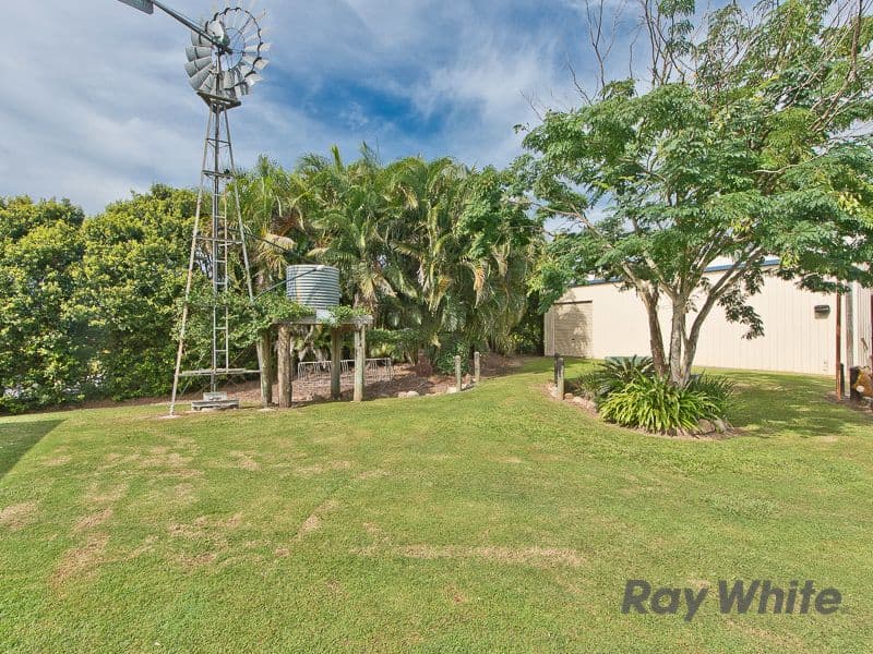 18 Remor Court, Elimbah QLD 4516, Elimbah - Thumbnail 4