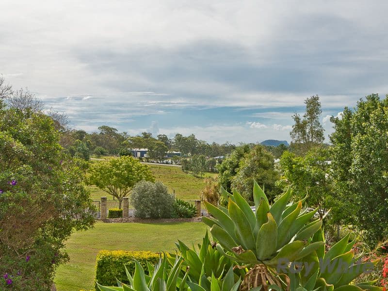 18 Remor Court, Elimbah QLD 4516, Elimbah - Thumbnail 6