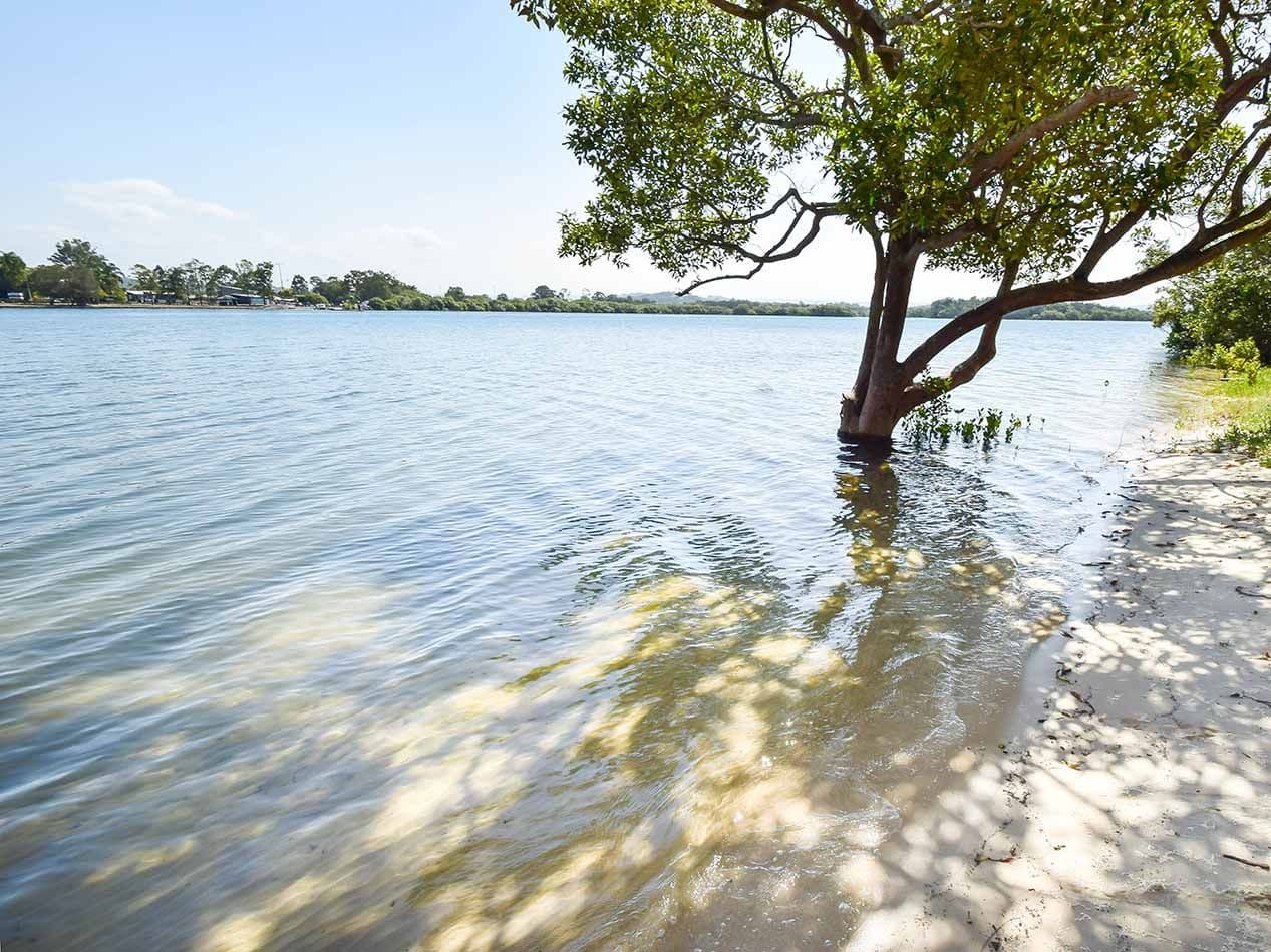 20 Waterview Crescent, Bli Bli QLD 4560, Bli Bli - Image 1