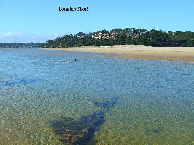 59 Pacific Crescent, MAIANBAR NSW 2230, Maianbar - Thumbnail 2