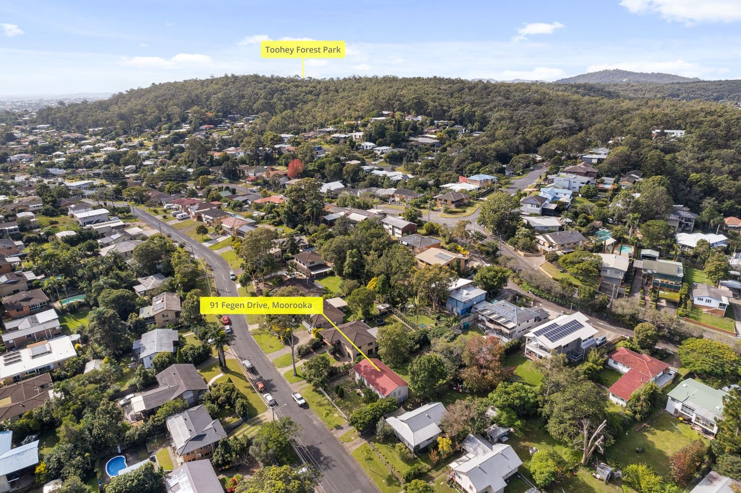91 Fegen Drive, Moorooka QLD 4105, Moorooka - Thumbnail 7