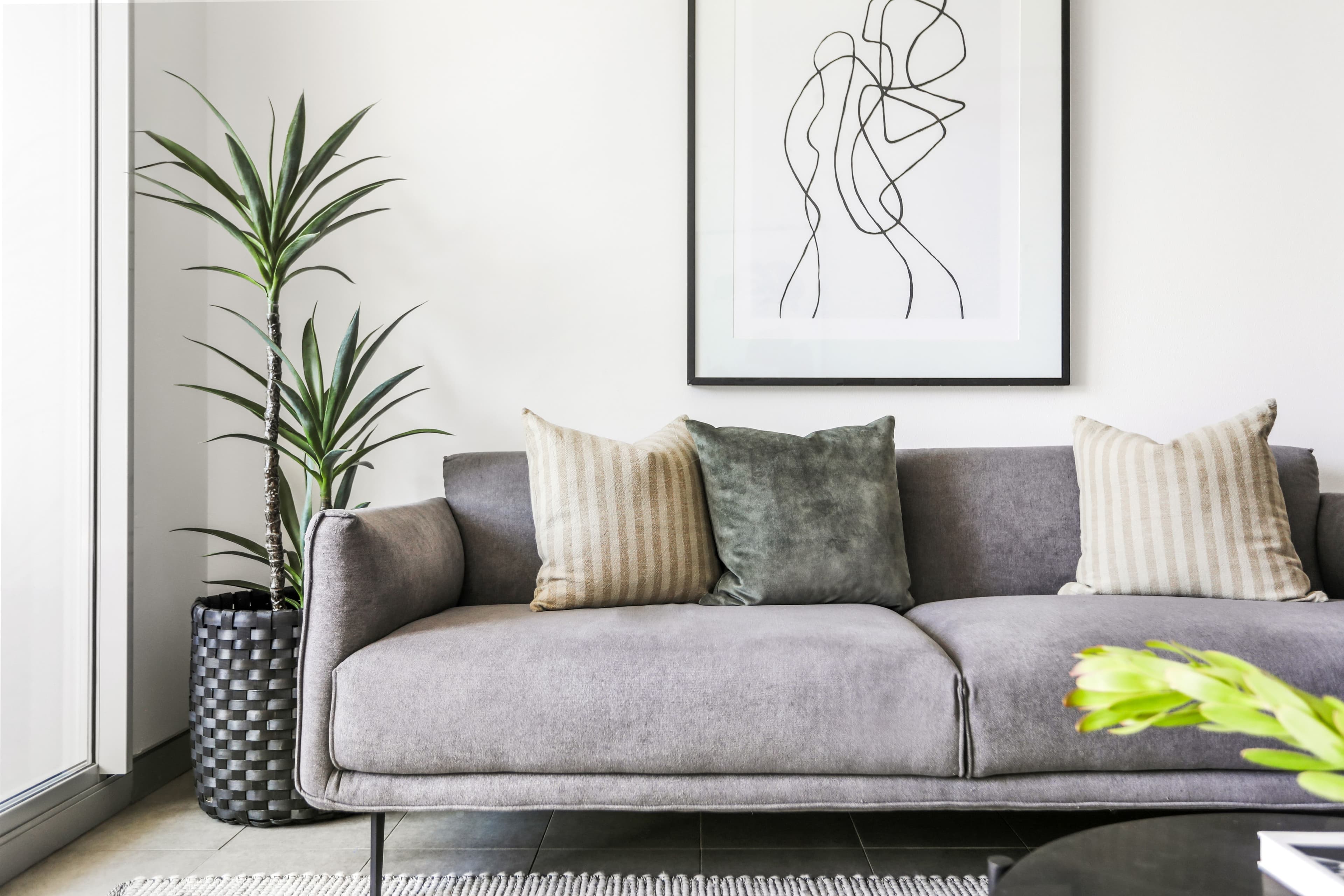 574 Botany Road, Alexandria NSW 2015, Alexandria - Thumbnail 2