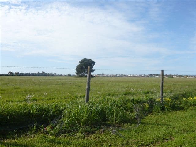 51 Redward Avenue, GREENACRES SA 5086, Greenacres - Thumbnail 5