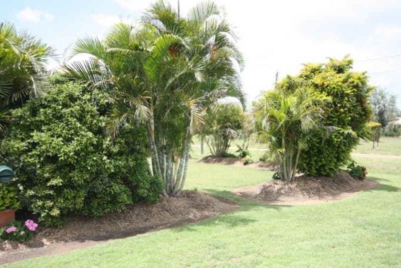 18 Alexandra Avenue, BILOELA QLD 4715, Biloela - Thumbnail 6