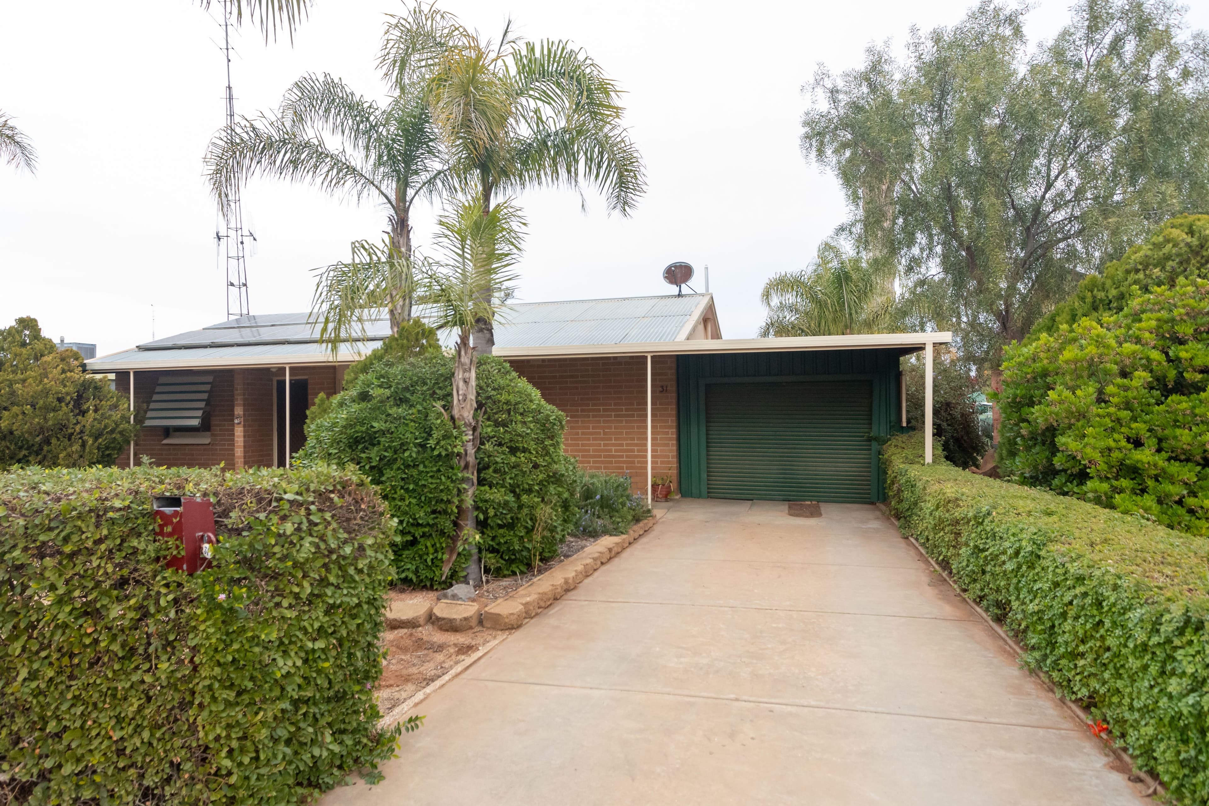 31 Farmer Street, Barmera SA 5345, Barmera - Thumbnail 3