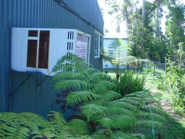 14 Midshipman Street, SOUTH MISSION QLD 4852, South Mission Beach - Thumbnail 3