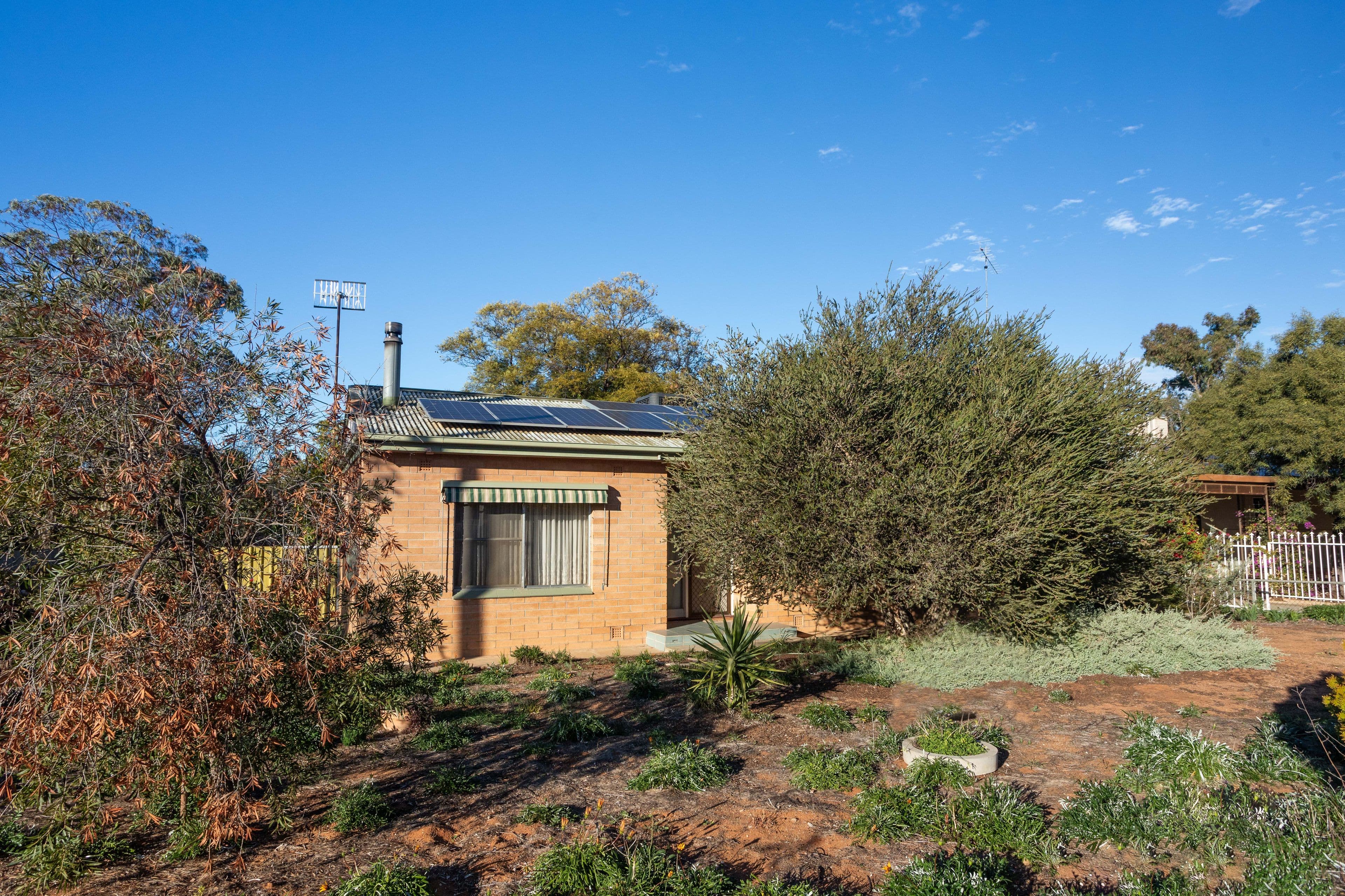 19 McGregor Street, Berri SA 5343, Berri - Image 1