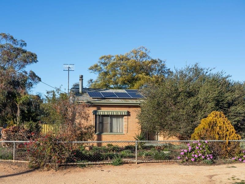 19 McGregor Street, Berri SA 5343, Berri - Thumbnail 2