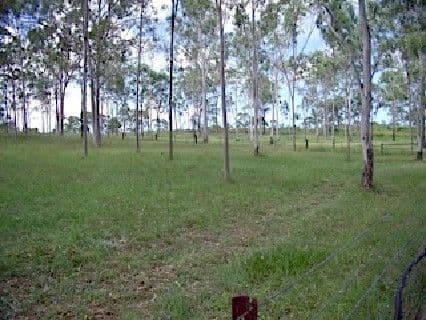 30 Wyndham Road, BEECHER QLD 4680, Beecher - Image 1