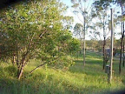30 Wyndham Road, BEECHER QLD 4680, Beecher - Thumbnail 4