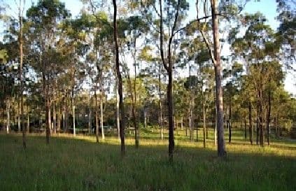 30 Wyndham Road, BEECHER QLD 4680, Beecher - Thumbnail 5