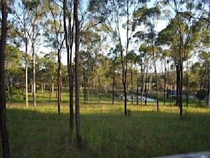 30 Wyndham Road, BEECHER QLD 4680, Beecher - Thumbnail 6