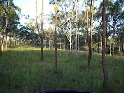 30 Wyndham Road, BEECHER QLD 4680, Beecher - Thumbnail 7