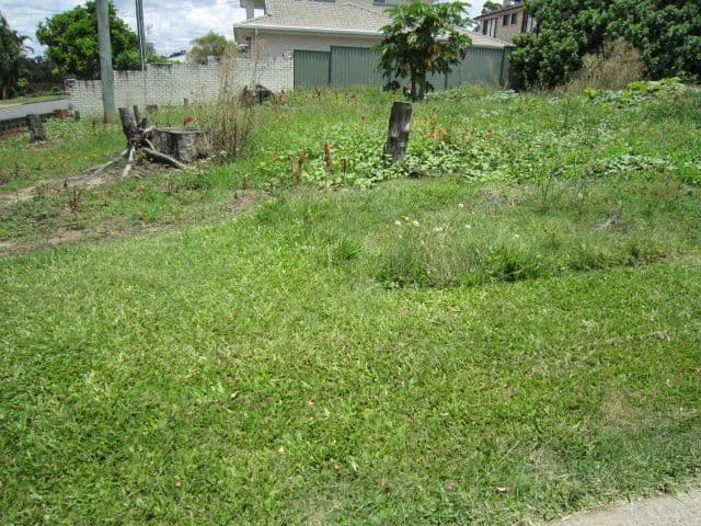 38 Le Grand Street, MACGREGOR QLD 4109, Macgregor - Image 1