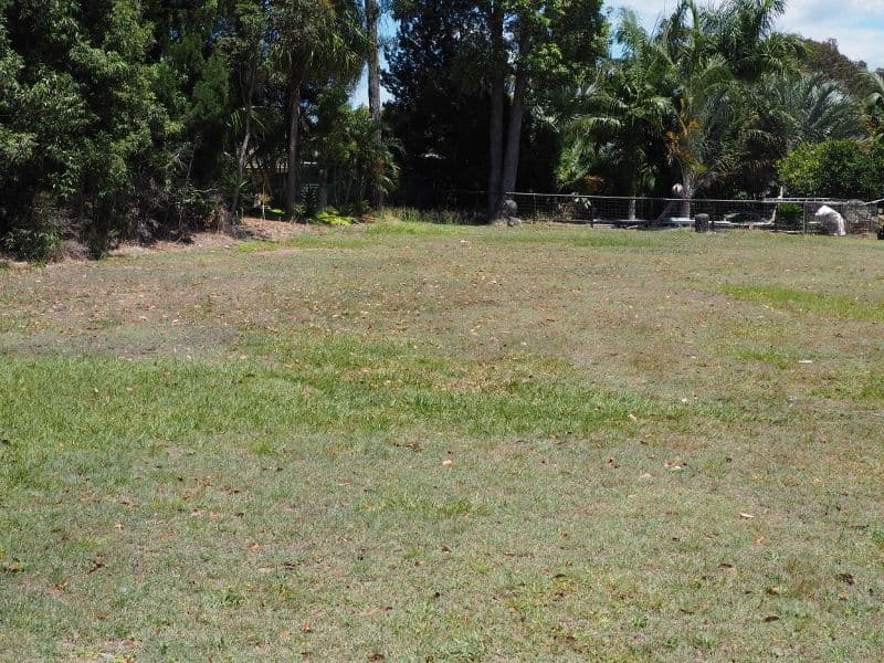 15 Sugar Glider Close, Poona QLD 4650, Poona - Thumbnail 4