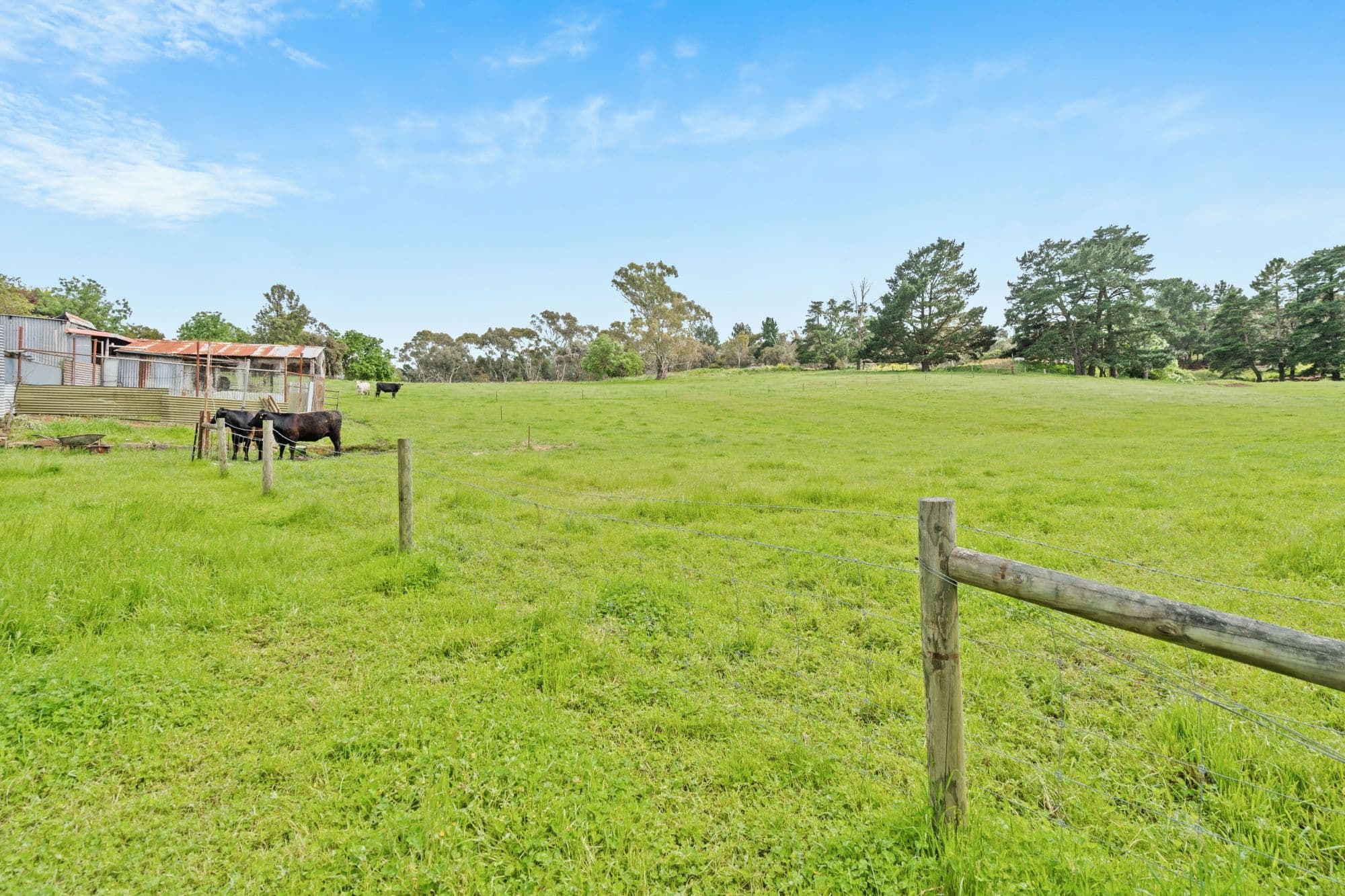 2 Childs Road, Mount Barker SA 5251, Mount Barker - Thumbnail 4