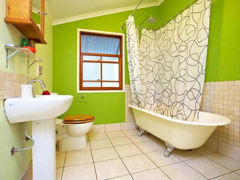 31 Norman Street, EAST BRISBANE QLD 4169, East Brisbane - Thumbnail 6