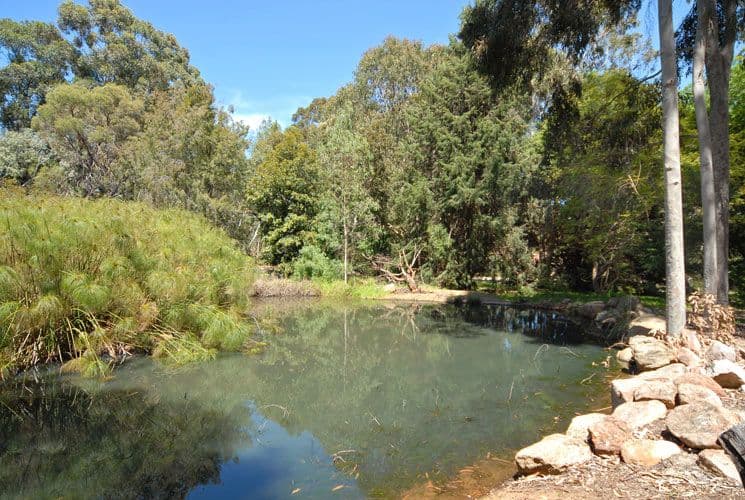 29 Ronneby Road, LESMURDIE WA 6076, Lesmurdie - Thumbnail 6