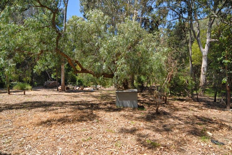 29 Ronneby Road, LESMURDIE WA 6076, Lesmurdie - Thumbnail 7