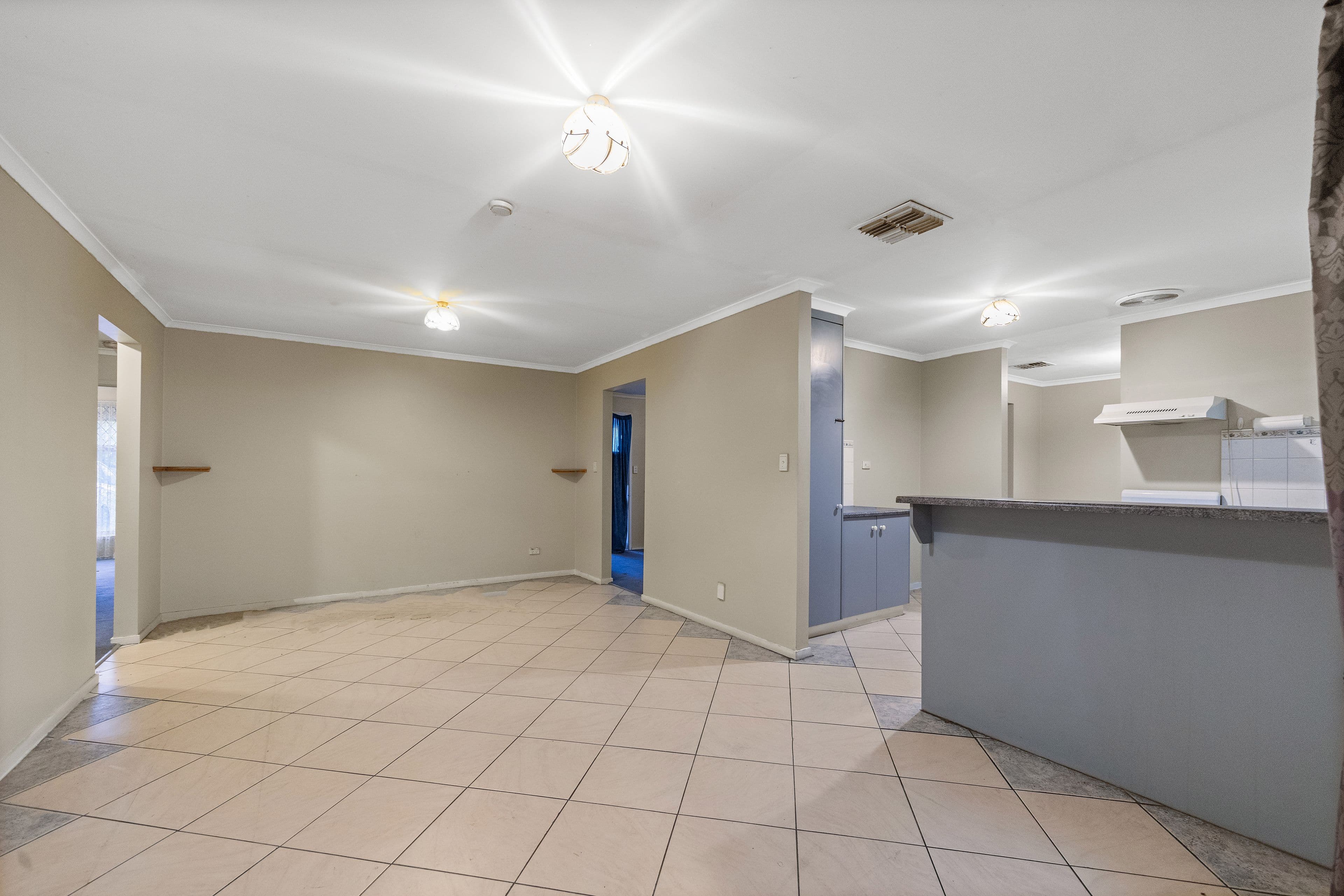 12 Hutton Avenue, Andrews Farm SA 5114, Andrews Farm - Thumbnail 7