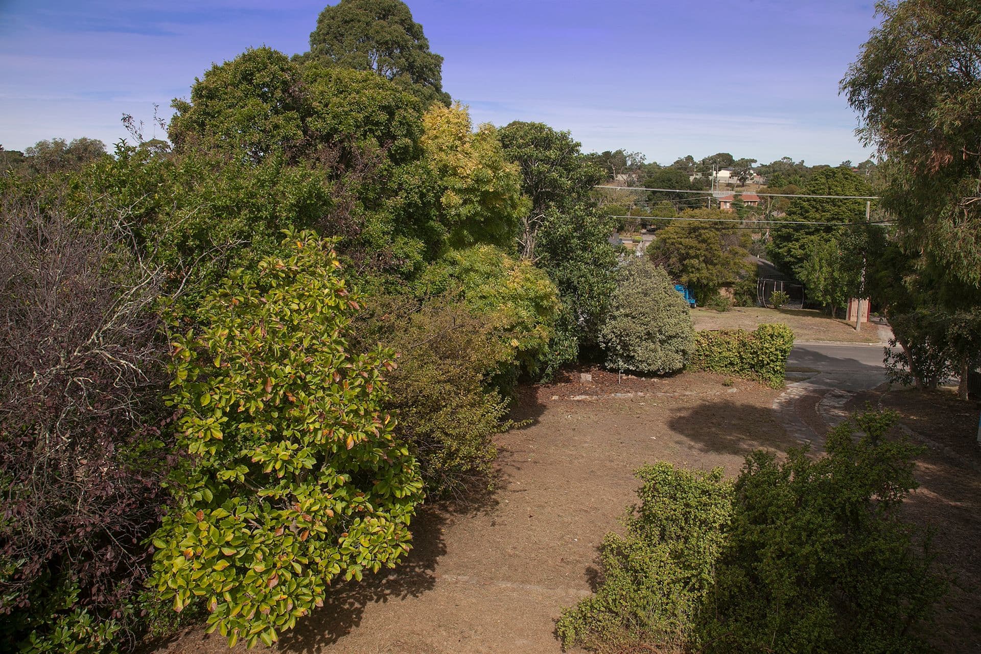 50 Maria Drive, Langwarrin VIC 3910, Langwarrin - Thumbnail 2