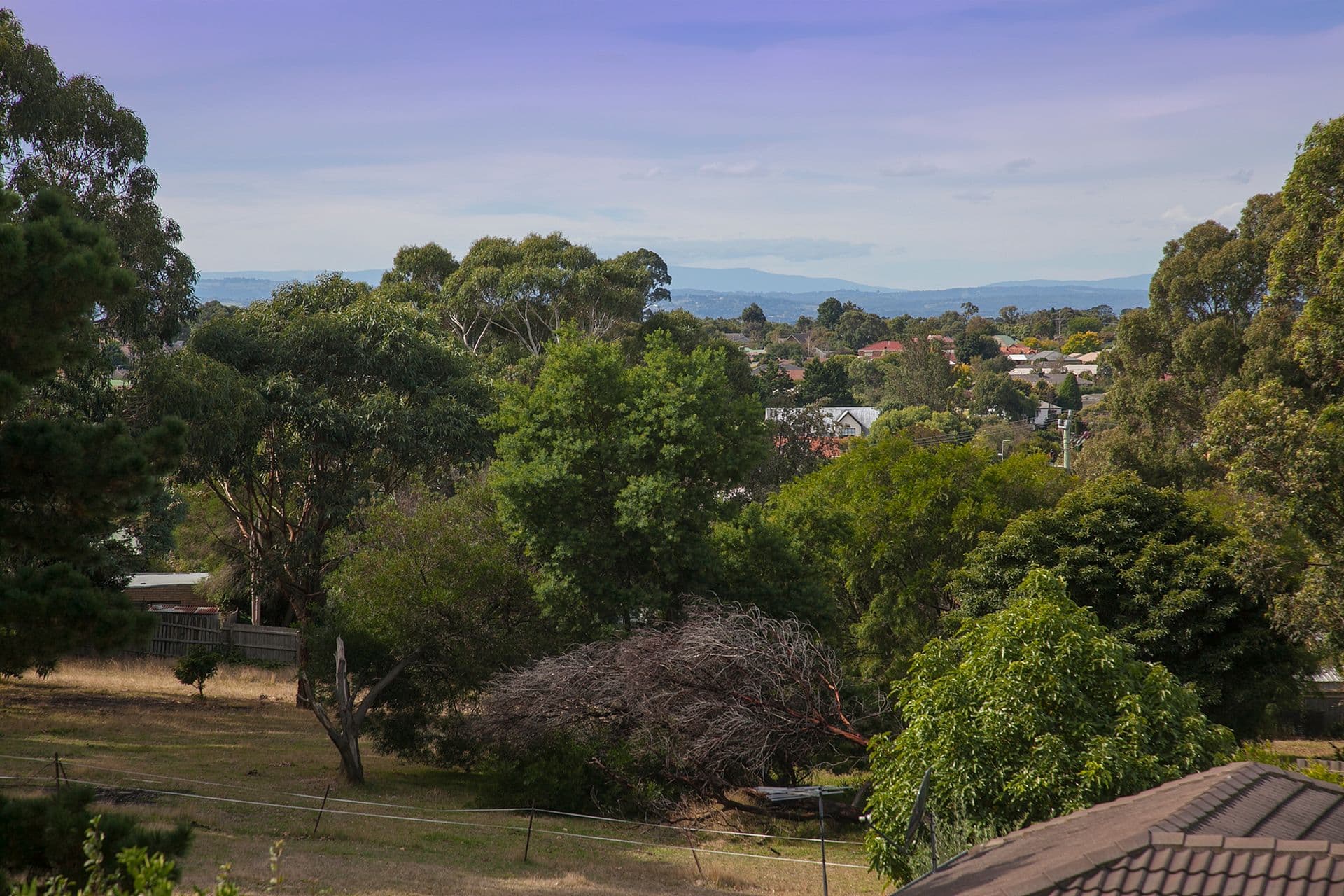 50 Maria Drive, Langwarrin VIC 3910, Langwarrin - Thumbnail 6