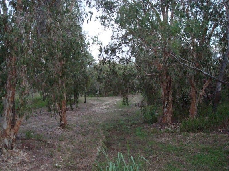 126 Waverley Street, BUCASIA QLD 4750, Bucasia - Thumbnail 2