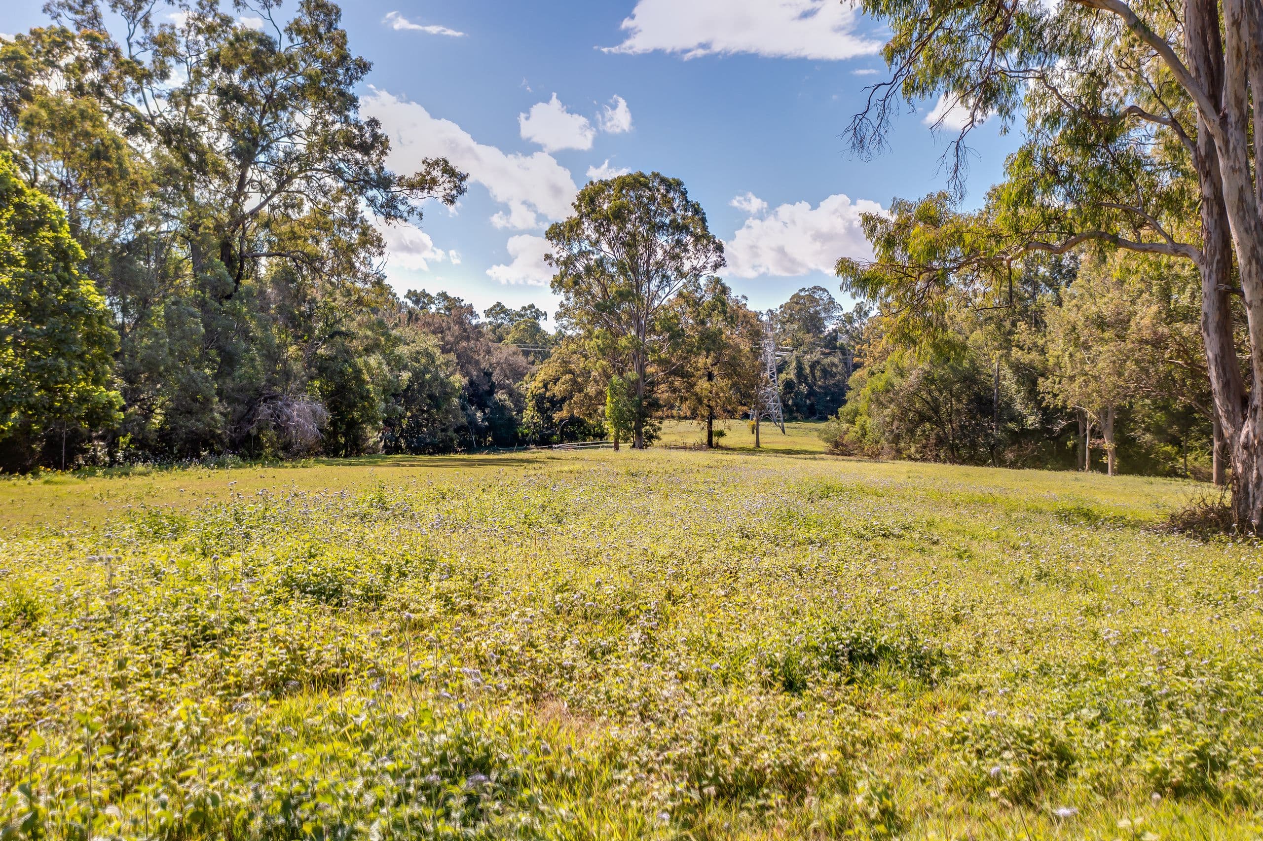 186 Gold Coast Springbrook Road, Mudgeeraba QLD 4213, Mudgeeraba - Thumbnail 4