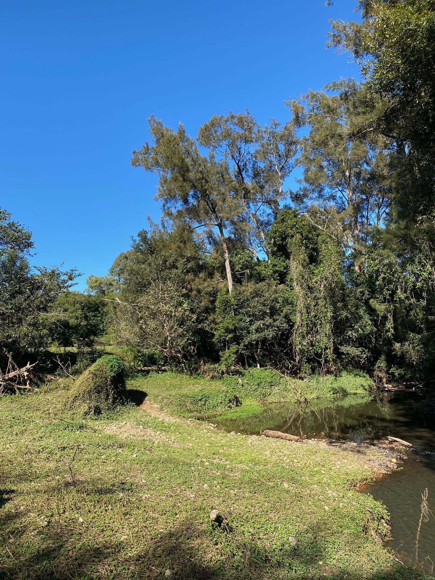 186 Gold Coast Springbrook Road, Mudgeeraba QLD 4213, Mudgeeraba - Thumbnail 7