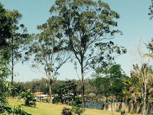 601 Reserve Road, Upper Coomera QLD 4209, Upper Coomera - Thumbnail 3