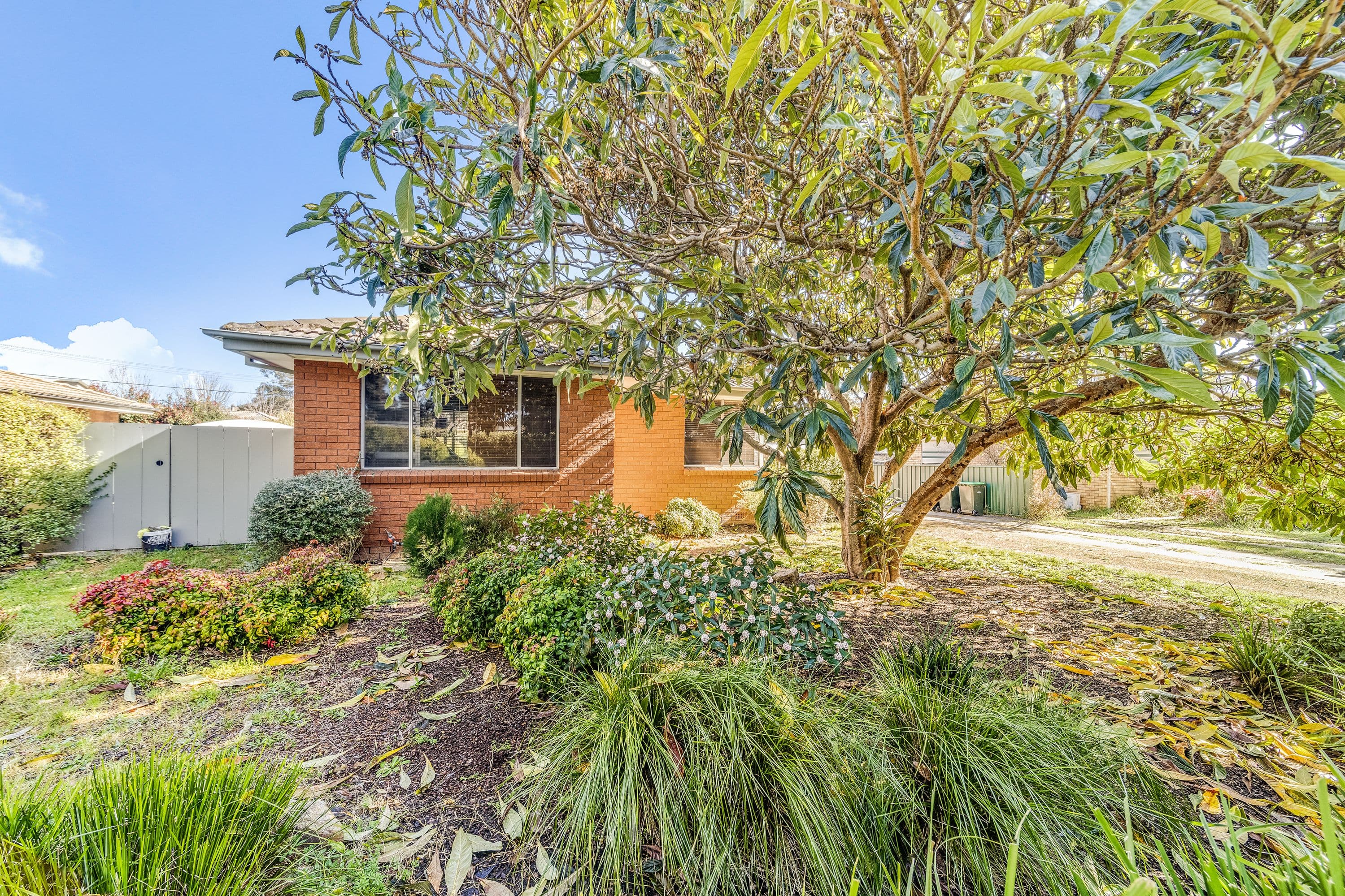 27 Krichauff Street, Page ACT 2614, Page - Image 1