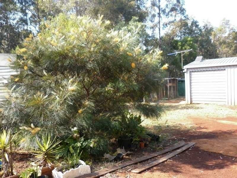 542 Hayne Kite Millar Road, Cherry Creek QLD 4314, Cherry Creek - Thumbnail 3