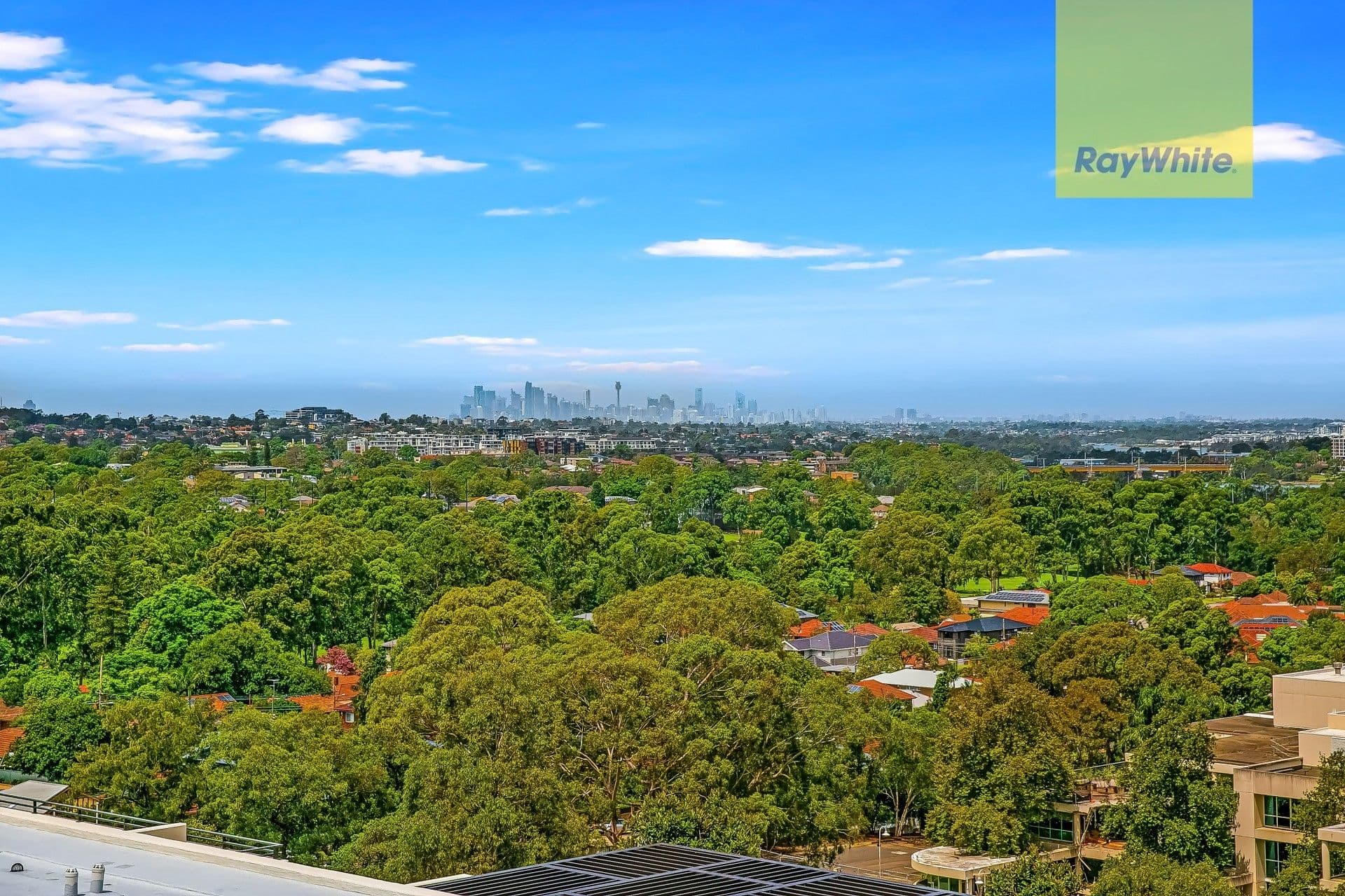 1A Lemon Tree Avenue, Melrose Park NSW 2114, Melrose Park - Thumbnail 4