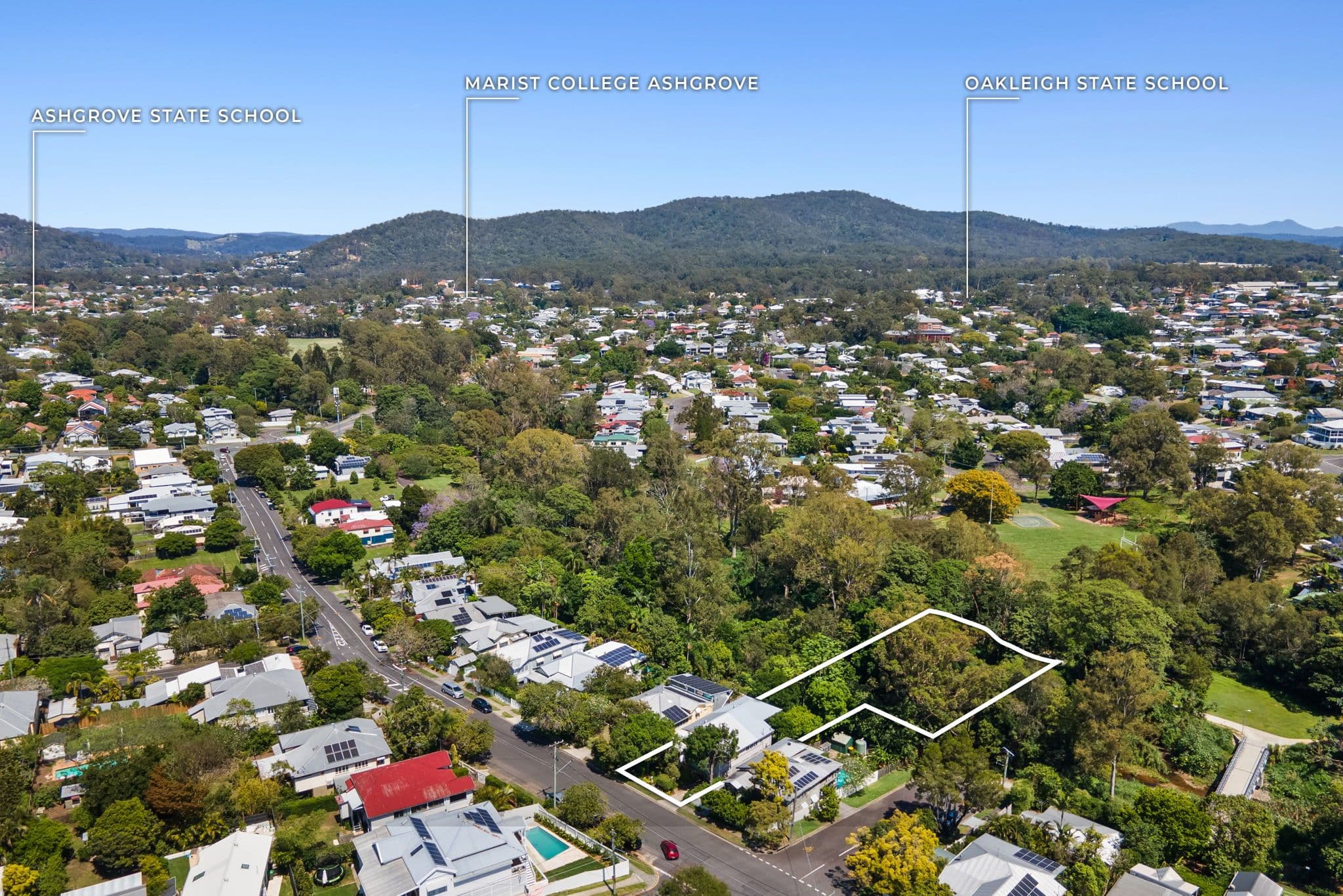 62 McLean Parade, Ashgrove QLD 4060, Ashgrove - Thumbnail 2