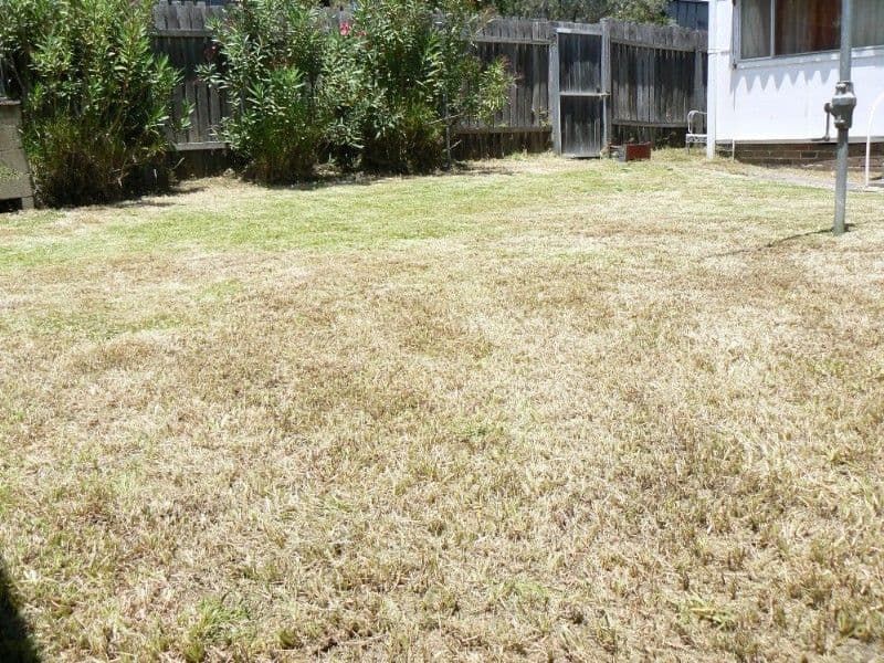 2 Union Street, KOGARAH NSW 2217, Kogarah - Thumbnail 3