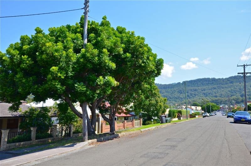 44 Russell Street, WOONONA NSW 2517, Woonona - Thumbnail 8