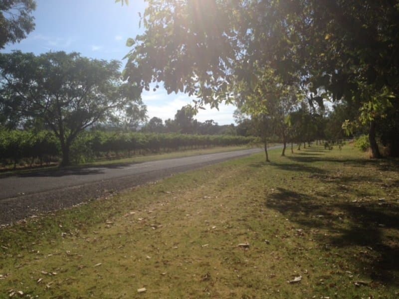 23A Railway Terrace, McLaren Vale - Thumbnail 4