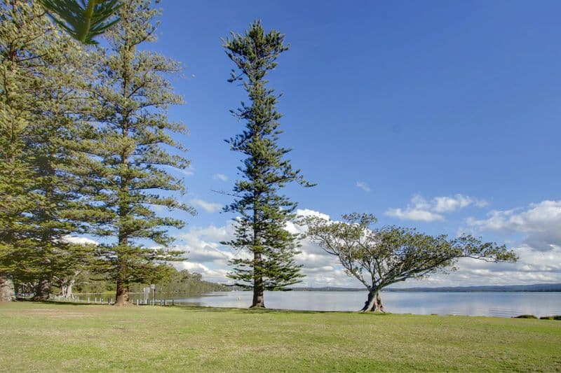 3 Queen Street, BALCOLYN NSW 2264, Balcolyn - Thumbnail 2